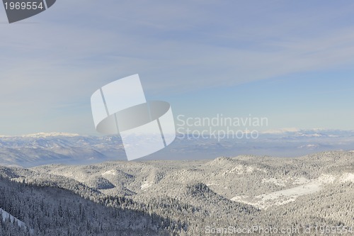 Image of winter landscape