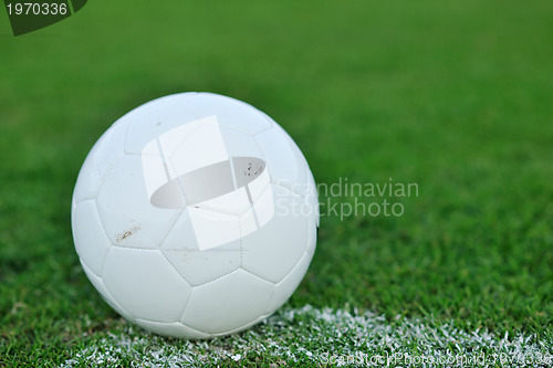 Image of Soccer ball on grass at goal and stadium in background