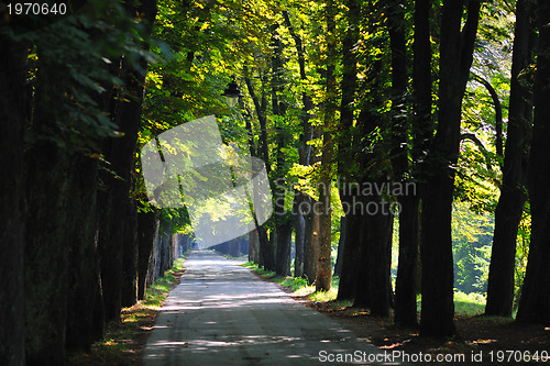 Image of sunrise in beautiful alley