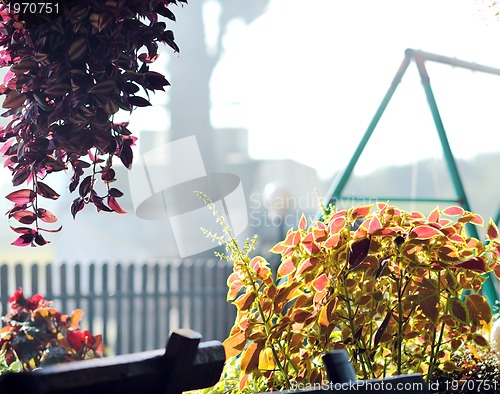 Image of colorful balcony with flowers