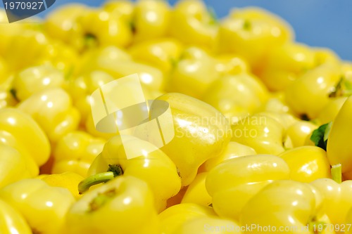 Image of fresh organic food peppers