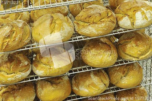 Image of bread factory production