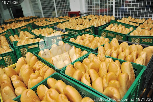 Image of bread factory production