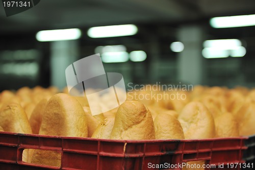 Image of bread factory production