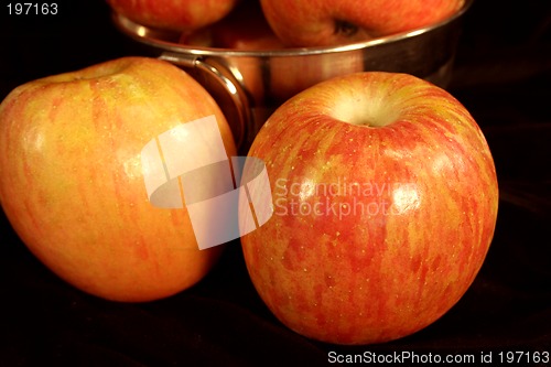 Image of Apples