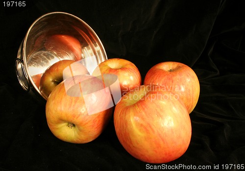 Image of Apples