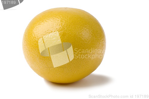 Image of grapefruit