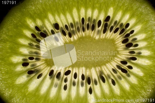 Image of kiwi