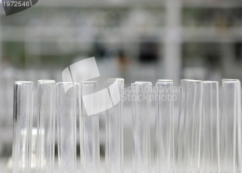 Image of test tubes in lab