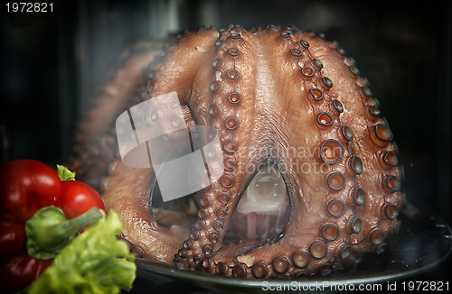 Image of Displayed octopus Spain