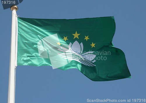 Image of Macao's flag