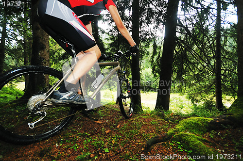 Image of  mount bike man outdoor