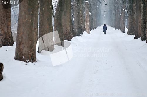 Image of one senior man wak outdoor in nature