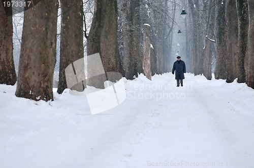 Image of one senior man wak outdoor in nature