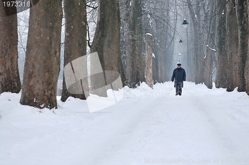 Image of one senior man wak outdoor in nature