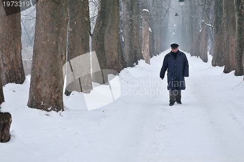 Image of one senior man wak outdoor in nature