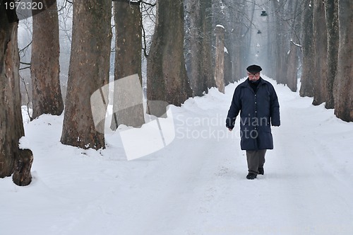 Image of one senior man wak outdoor in nature