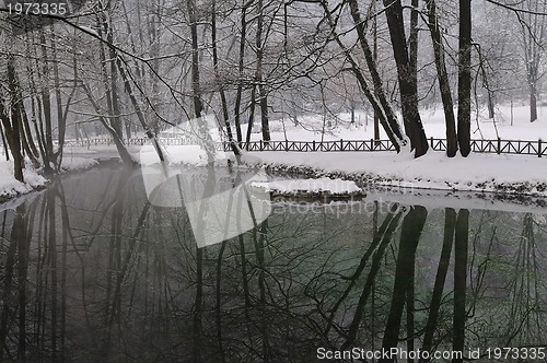 Image of early mornig at beutiful winter day 