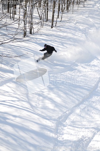 Image of snowboard