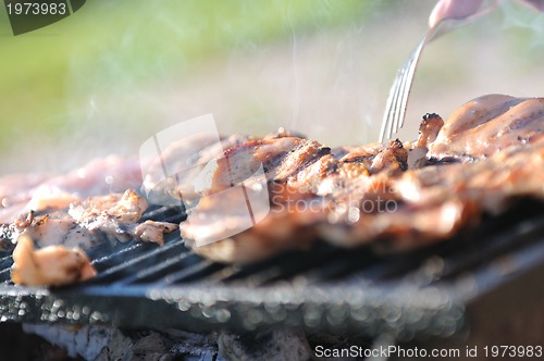 Image of grill meat