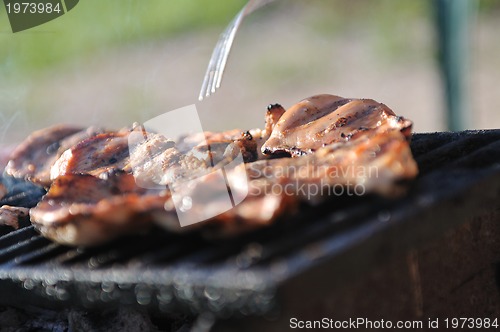Image of grill meat