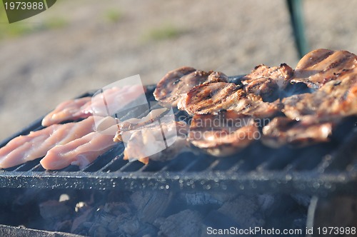 Image of grill meat