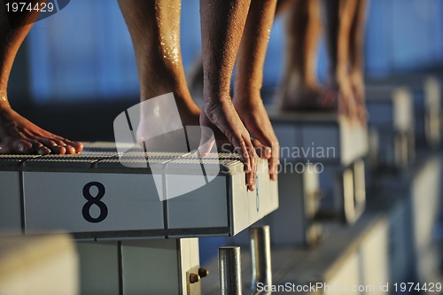 Image of young swimmmer on swimming start