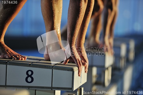 Image of swimming start 