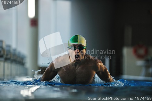 Image of swimmer