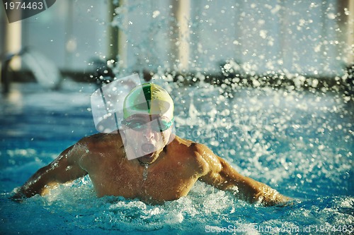 Image of swimmer