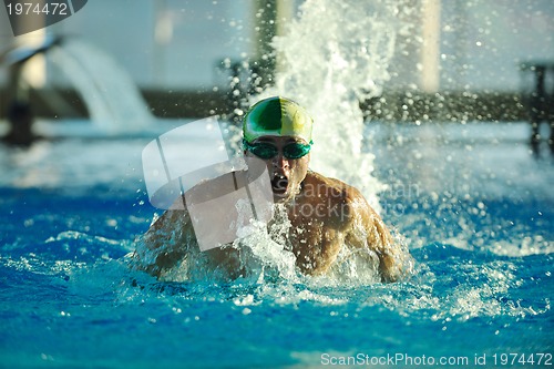 Image of swimmer