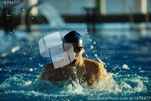 Image of swimmer