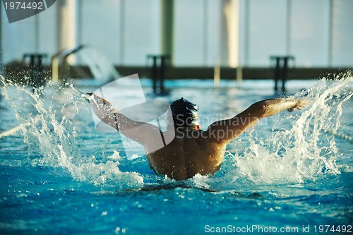 Image of swimmer