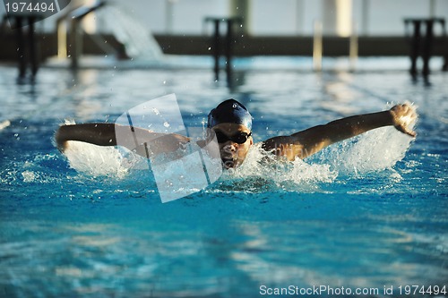 Image of swimmer