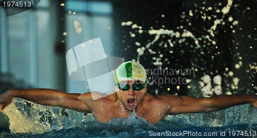 Image of swimmer