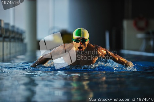 Image of swimmer