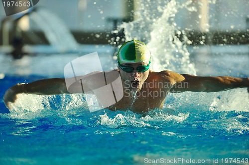 Image of swimmer