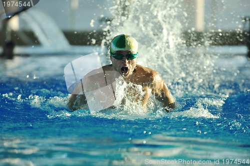 Image of swimmer