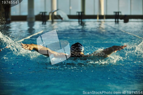 Image of swimmer
