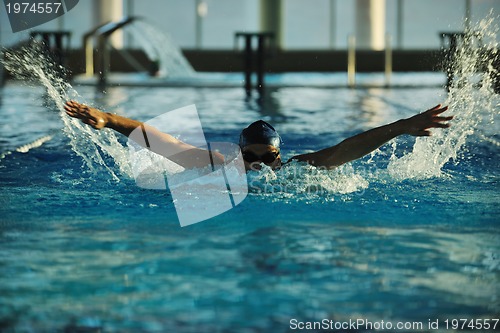 Image of swimmer