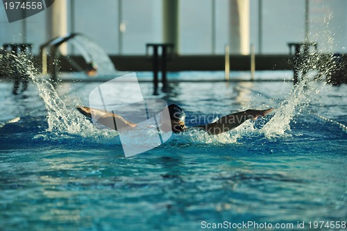 Image of swimmer