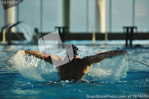 Image of swimmer