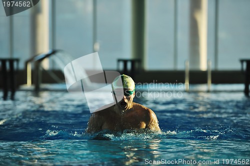 Image of swimmer