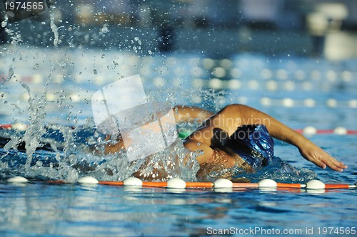 Image of swimmer