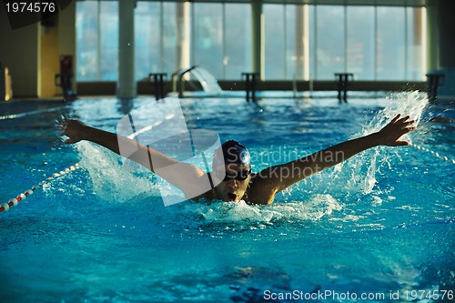 Image of swimmer