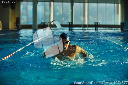 Image of swimmer