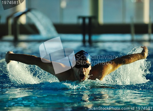 Image of swimmer