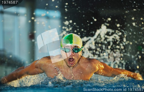 Image of swimmer