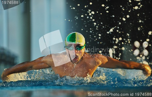 Image of swimmer