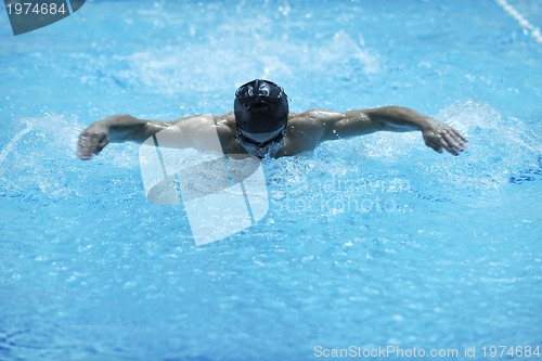 Image of swim pool
